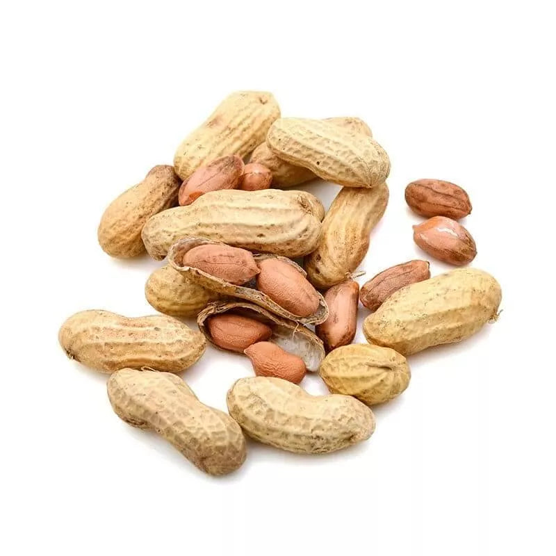 Roasted Jumbo Peanuts in Shell No Salt 25lb Case
