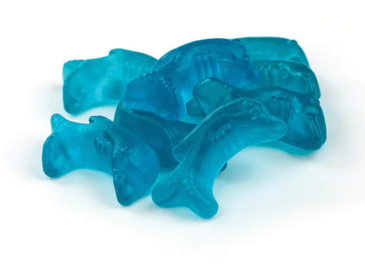 Gustafs Gummy Dolphin 6.6lbs case - Default Title Gerrit J Verburg Candy Candy Store For Me