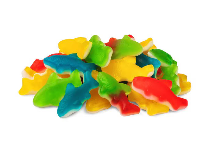 Kervan Assorted Sharks Foam Bottom 5lb