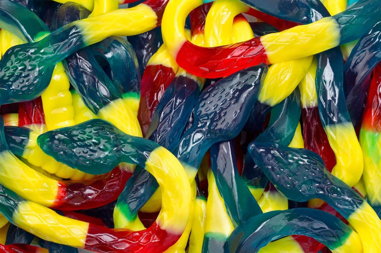 Albanese Giant Gummy Rattlesnakes 27inch 20lb No ETA as of October 2023 - Default Title Albanese Confectionery Gummies Candy Store For Me