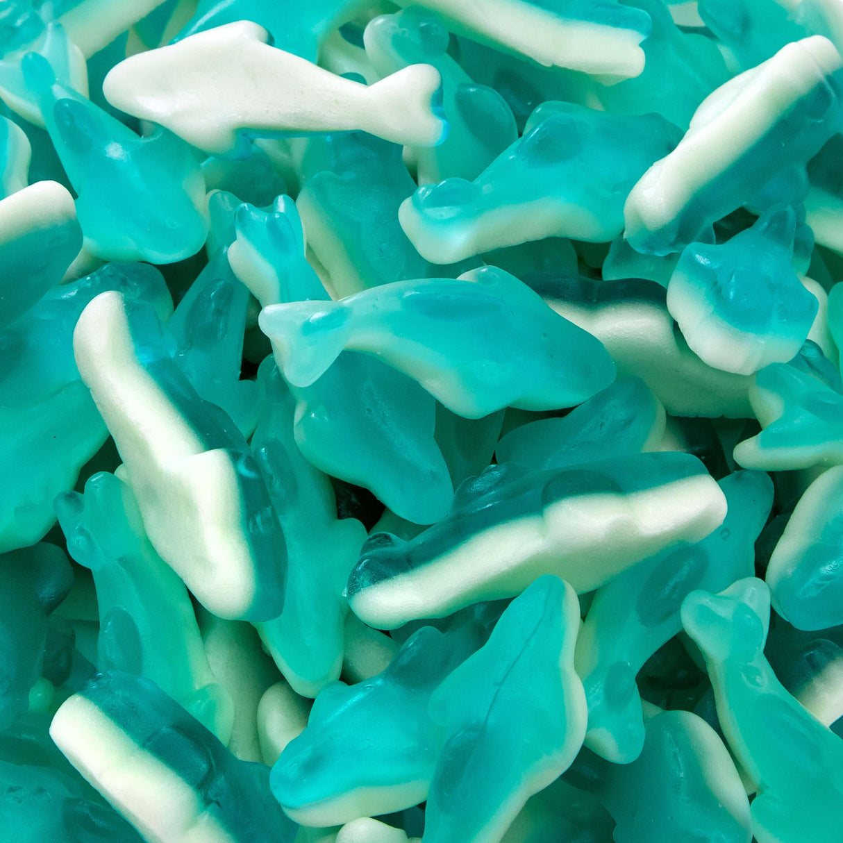 Blue Gummy Sharks Dye Free 2.2lb