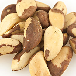 Medium Shelled Brazil Nuts 44lb - Default Title Wricley Nut Co Nuts Candy Store For Me