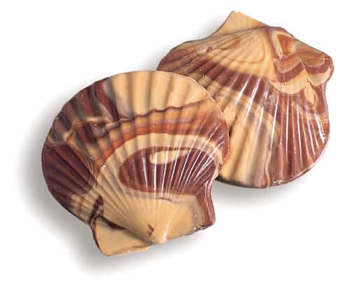 Asher Sea Shells - Milk Chocolate & Peanut Butter - Default Title Asher's Chocolates Fine Chocolate Candy Store For Me
