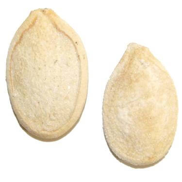 Cleaned Shelled Pumpkin Seeds 27.5lb - Default Title Wricley Nut Co Nuts Candy Store For Me