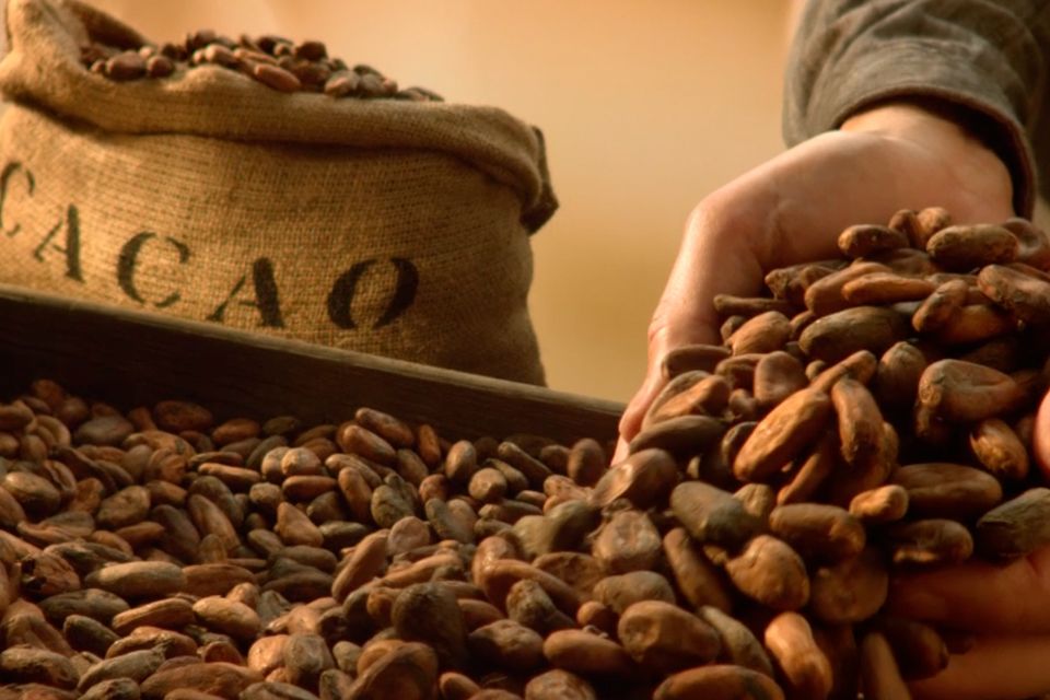 Exploring the World of Chocolate: From Bean to Bar