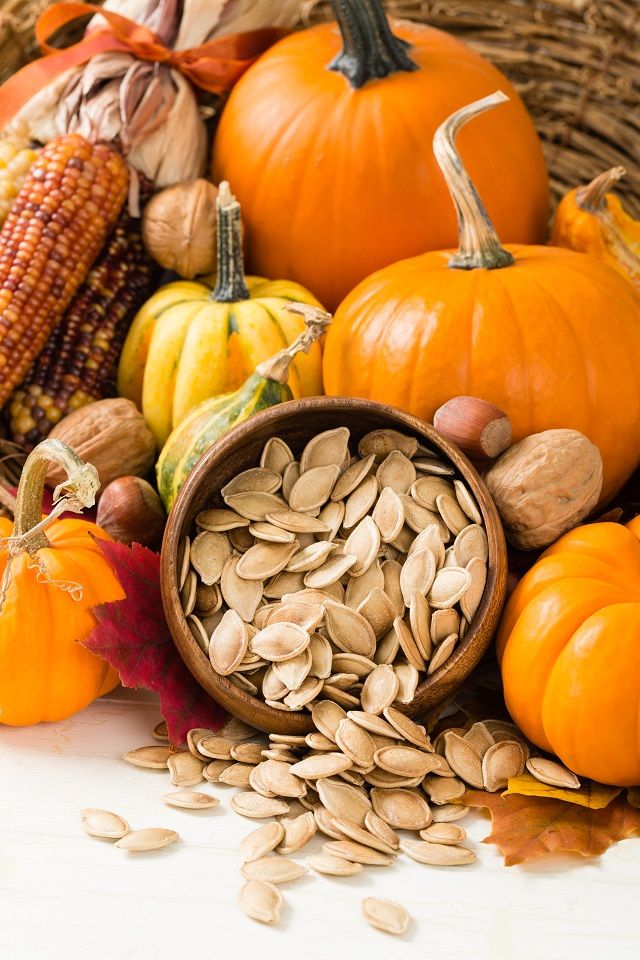 🎃 Sweet, Salty, and Totally Addictive: Why Pumpkin Seeds Deserve a Spot in Your Snack Stash