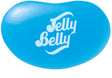Jelly Belly Jelly Beans Berry Blue 10lb - Default Title Jelly Belly Candy Store For Me