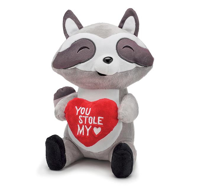 Plush Valentine Raccoon “You Stole My Heart” 1pc