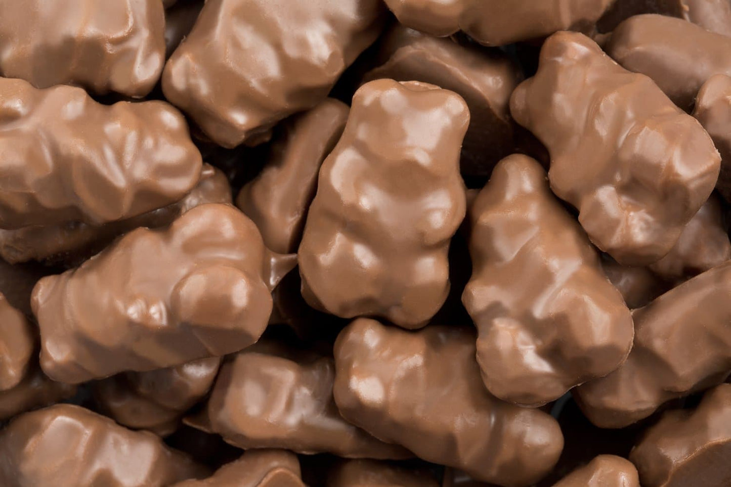 Albanese Milk Chocolate Covered Assorted Gummi Bears 10lb
