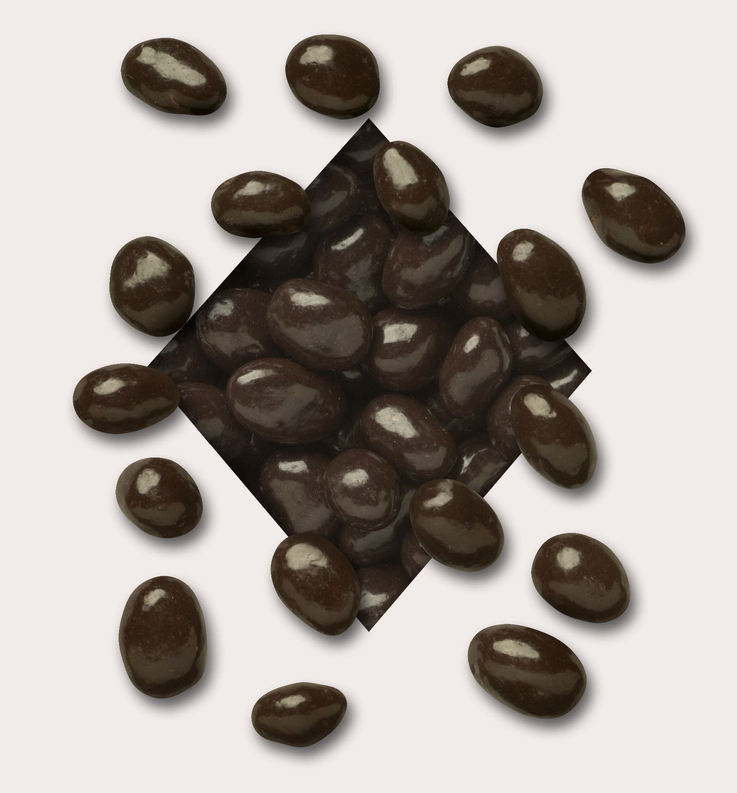 Koppers Dark Chocolate Raisins 5lb