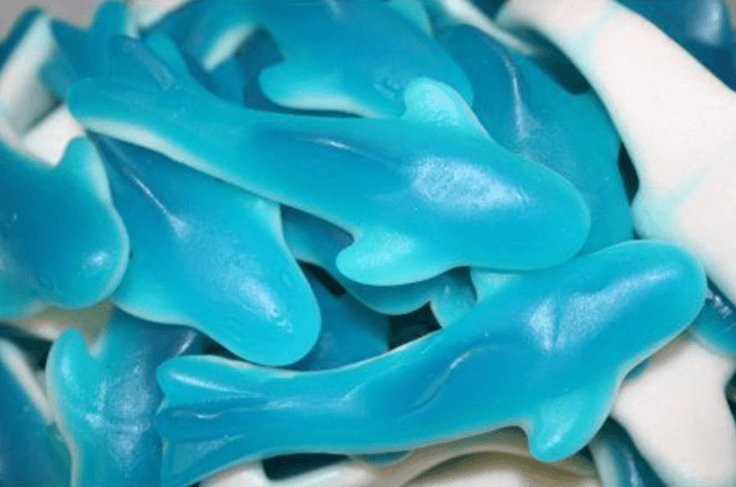 Funtasty Gummy Baby Sharks Blue 5lb