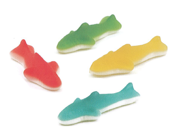 Kervan Assorted Sharks Foam Bottom 5lb-online-candy-store-3386