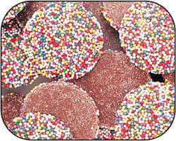 Guittard Milk Wafer with Nonpareils 20lb-online-candy-store-60052