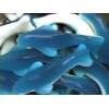 Gummy Killer Sharks 5lb-online-candy-store-635