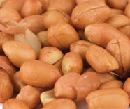 Roasted No Salt Spanish Peanuts 15lb-online-candy-store-2298C